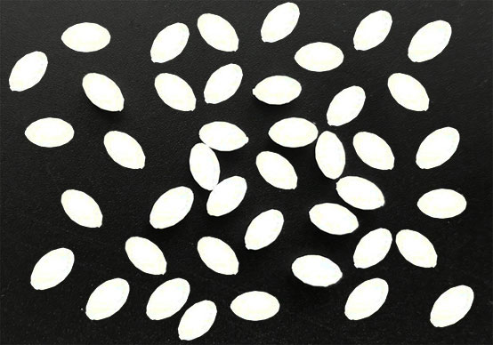 三維打印小配件