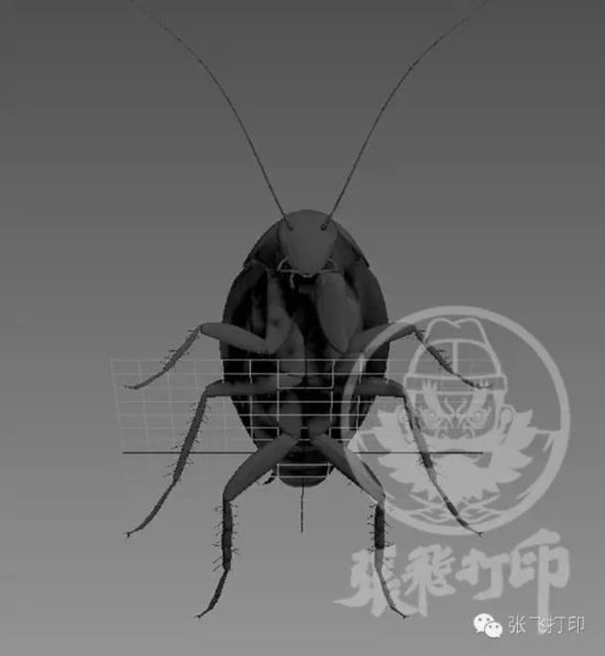 3D打印蟑螂小強(qiáng)誕生記(超精細(xì)) 妹紙膽小也可入
3D打印蟑螂,3D打印小強(qiáng),3D打印技術(shù),3D打印服務(wù),3D打印平臺(tái),e鍵打印