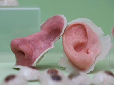 3d打印應用案例:3D打印人體器官的那些事兒