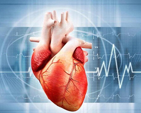 3d打印應用案例:3D打印人體器官的那些事兒